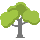 Stone Mountain Tree Removal