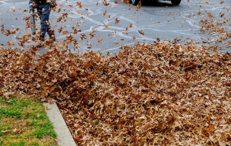 Leaf Blowing Technique