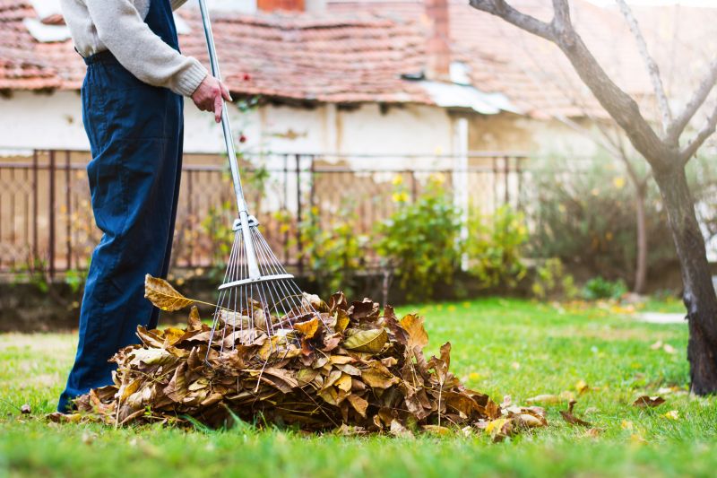 Final Cleanup of Leaves