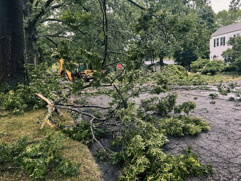 Storm Damage Cleanup