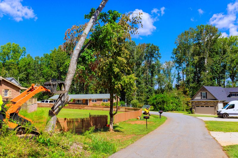 Tree Removal in Residential Areas