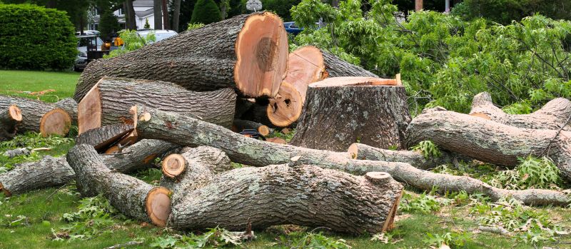 Commercial Property Clearing