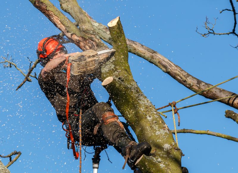 Safety Measures During Removal