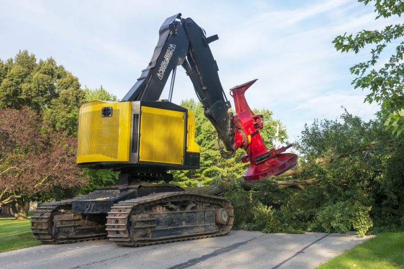 Spring Tree Cutting