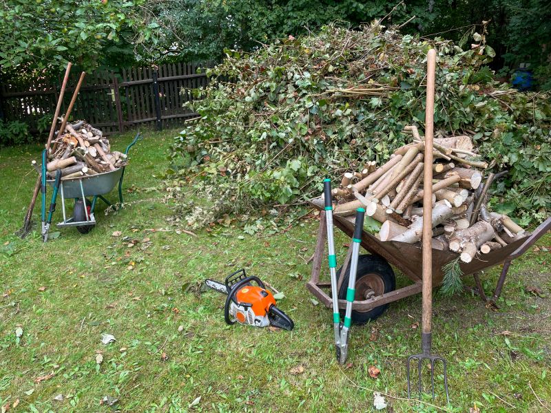 Storm Damage Cleanup